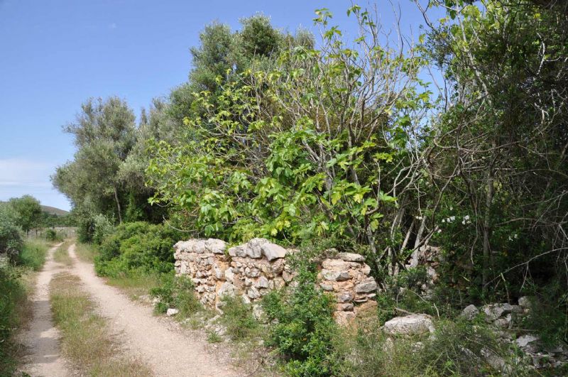 Country houses for Sale in CAPDEPERA, MAJORCA, Spain