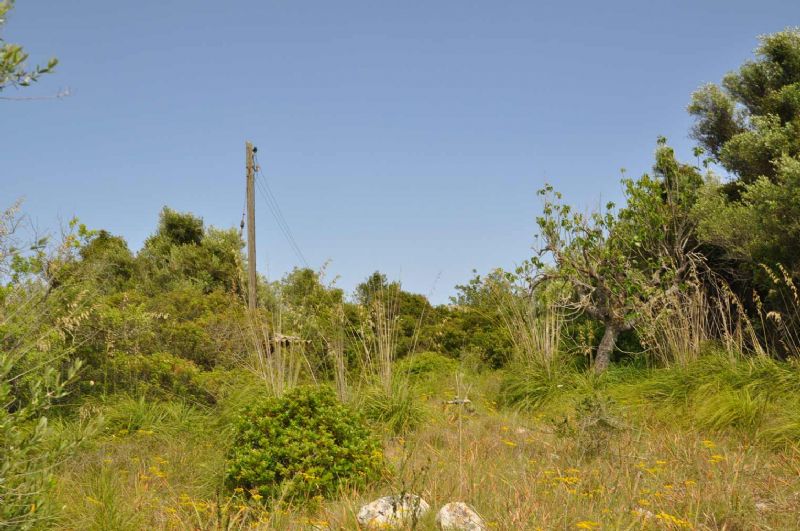 Country houses for Sale in CAPDEPERA, MAJORCA, Spain