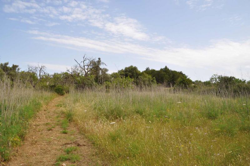 Country houses for Sale in CAPDEPERA, MAJORCA, Spain