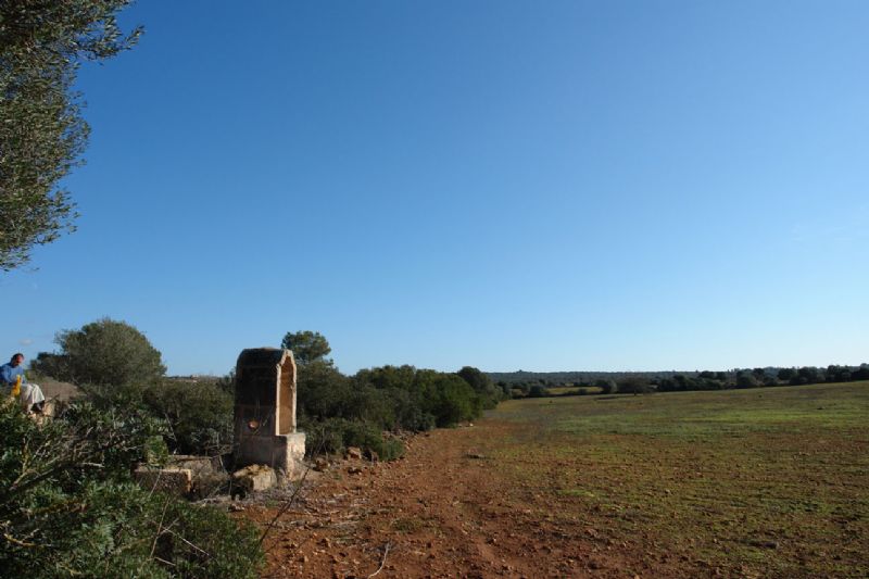 Country houses for Sale in CAMPOS, MAJORCA, Spain