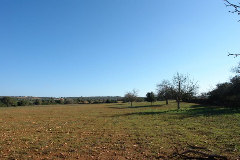 Country houses for Sale in CAMPOS, MAJORCA, Spain