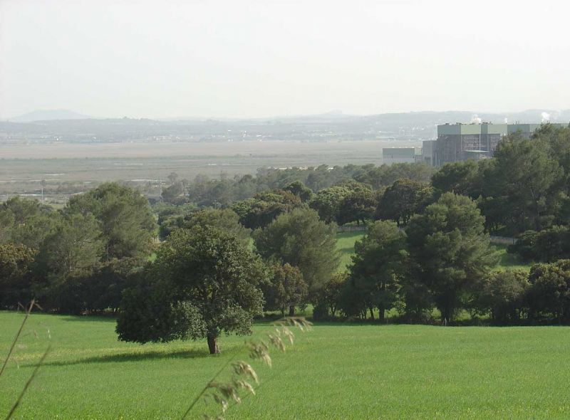 Country houses for Sale in ALCUDIA, MAJORCA, Spain