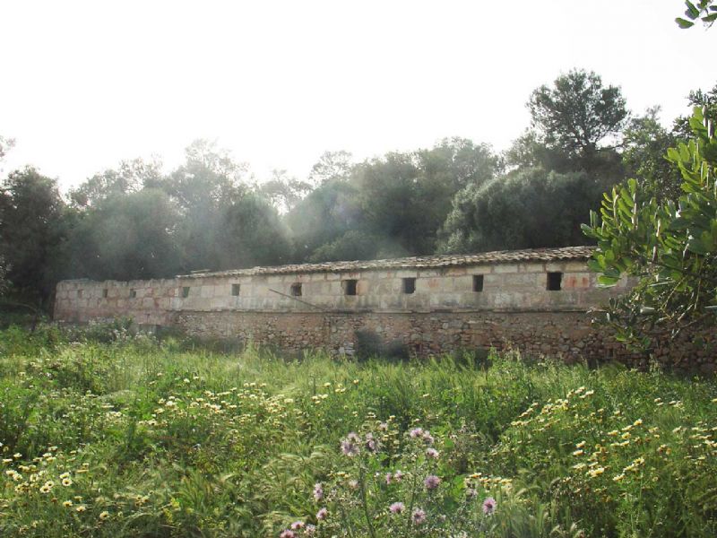 Country houses for Sale in ALCUDIA, MAJORCA, Spain