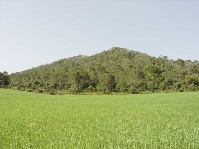 Country houses for Sale in ALCUDIA, MAJORCA, Spain