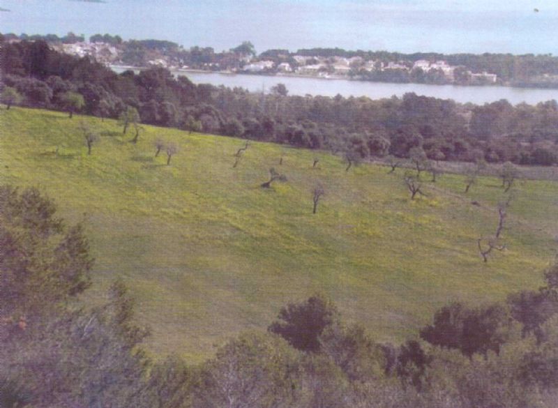 Country houses for Sale in ALCUDIA, MAJORCA, Spain