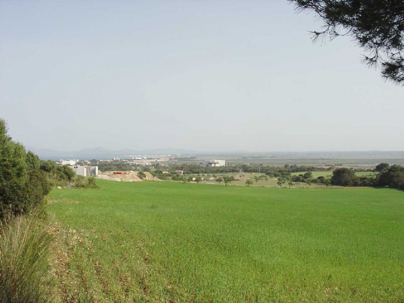 Country houses for Sale in ALCUDIA, MAJORCA, Spain