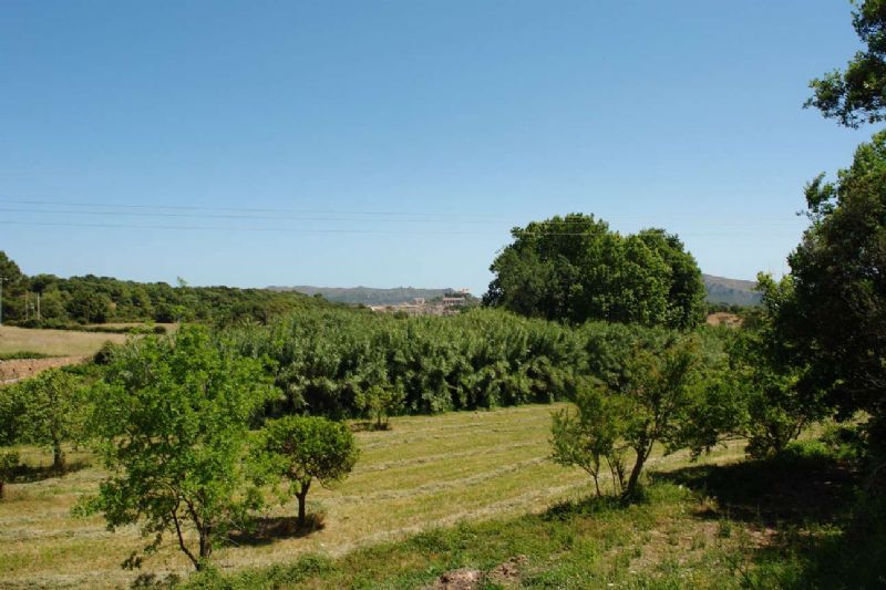 Country houses for Sale in ARTA, MAJORCA, Spain