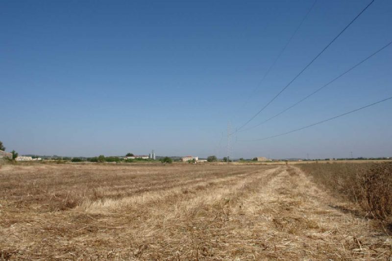 Country houses for Sale in PETRA, MAJORCA, Spain