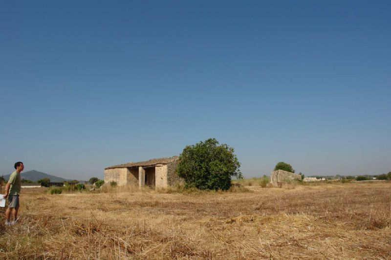 More on our Country houses for Sale in PETRA, MAJORCA, Balearics, Spain