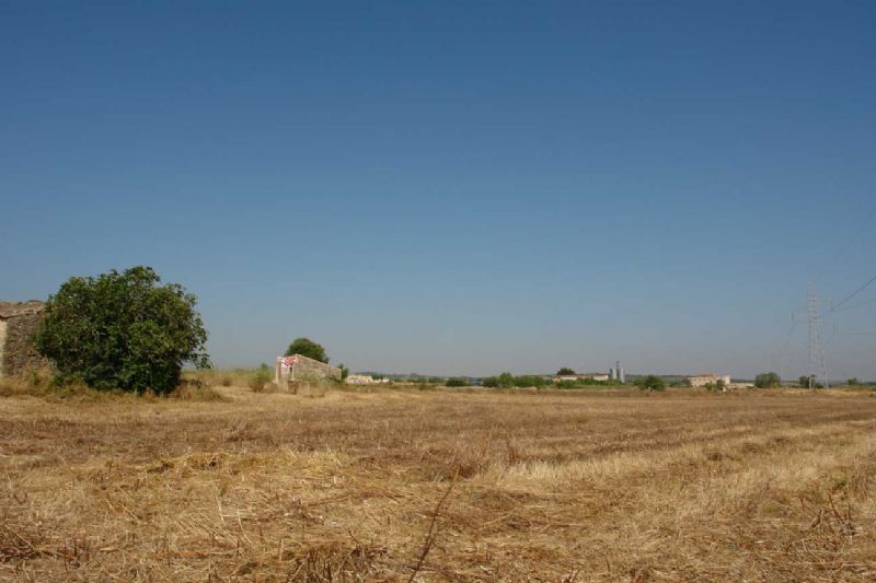 Country houses for Sale in PETRA, MAJORCA, Spain