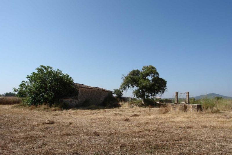 Country houses for Sale in PETRA, MAJORCA, Spain