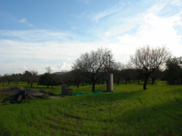 Country houses for Sale in ARTA, MAJORCA, Spain