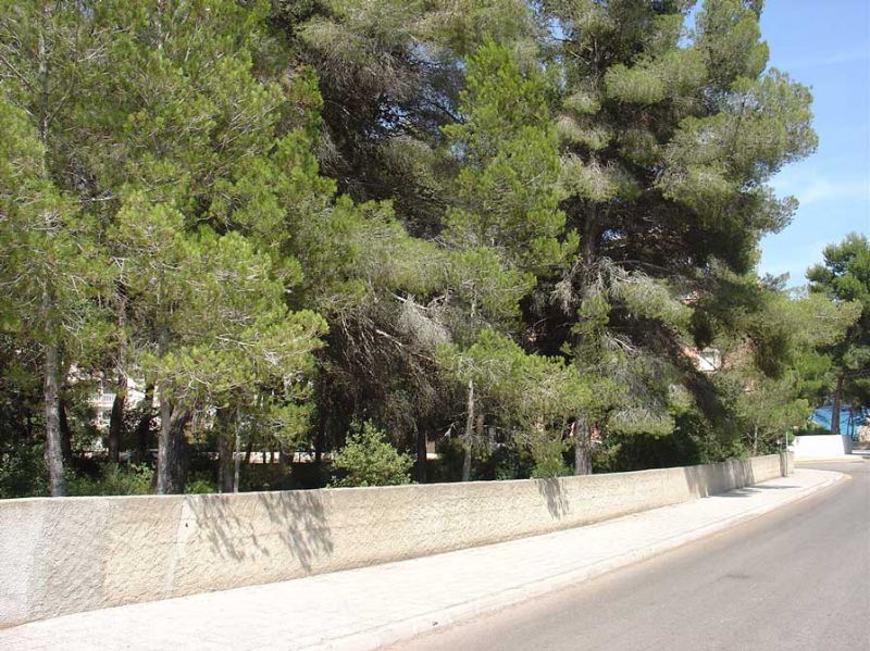 Plots for Sale in Canyamel, CAPDEPERA, MAJORCA, Spain