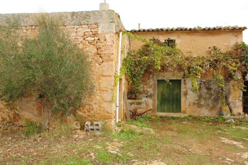 Country houses for Sale in LLUCMAJOR, MAJORCA, Spain