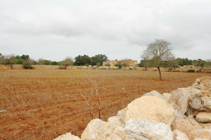 Country houses for Sale in LLUCMAJOR, MAJORCA, Spain