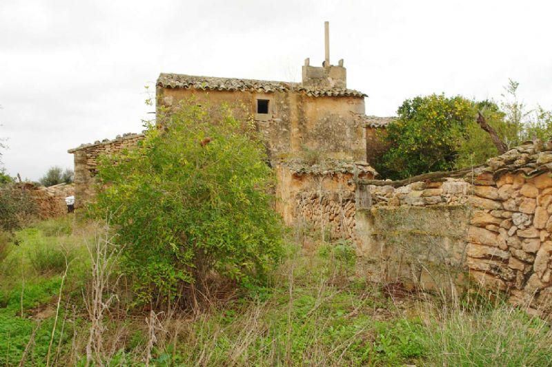 Country houses for Sale in LLUCMAJOR, MAJORCA, Spain