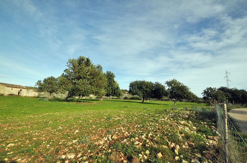 Country houses for Sale in PETRA, MAJORCA, Spain