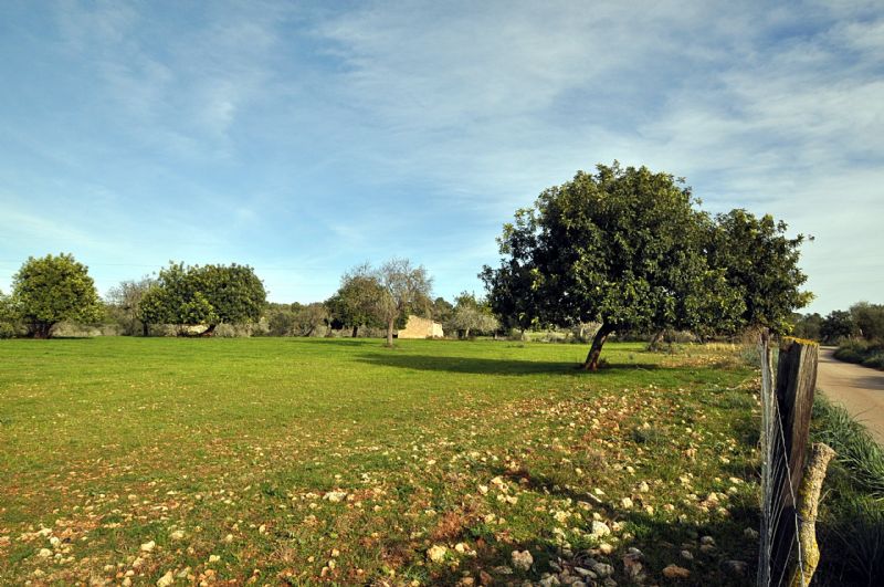 Country houses for Sale in PETRA, MAJORCA, Spain