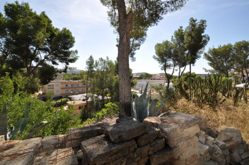 More on our Plots for Sale in Cala Fornell, PAGUERA, MAJORCA, Balearics, Spain