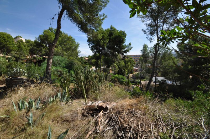 Plots for Sale in Cala Fornell, PAGUERA, MAJORCA, Spain