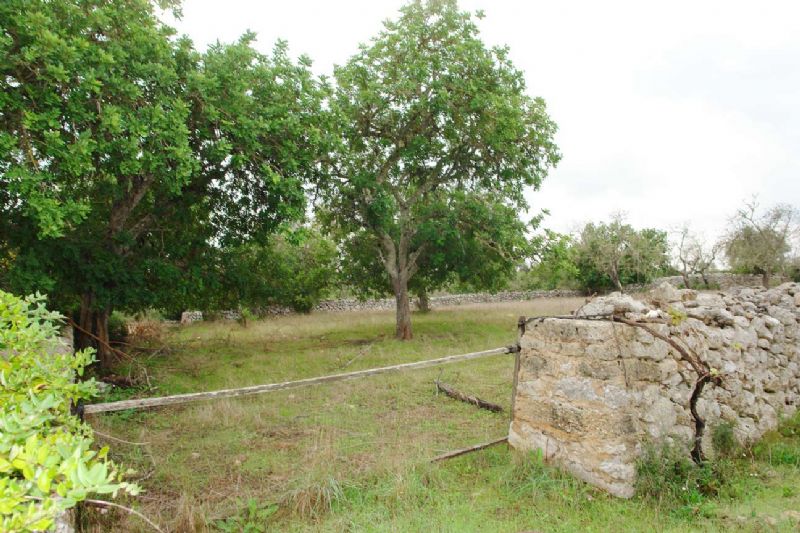 Country houses for Sale in ARTA, MAJORCA, Spain