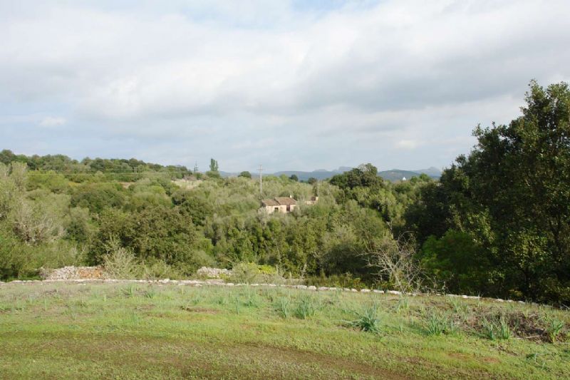 Country houses for Sale in ARTA, MAJORCA, Spain