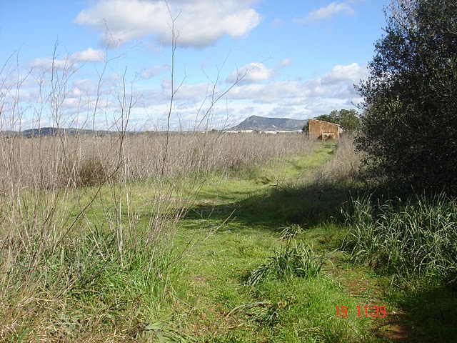 Country houses for Sale in LLUCMAJOR, MAJORCA, Spain