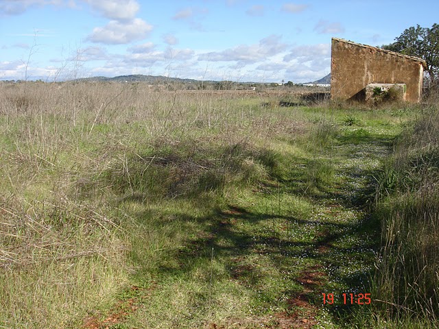 Country houses for Sale in LLUCMAJOR, MAJORCA, Spain