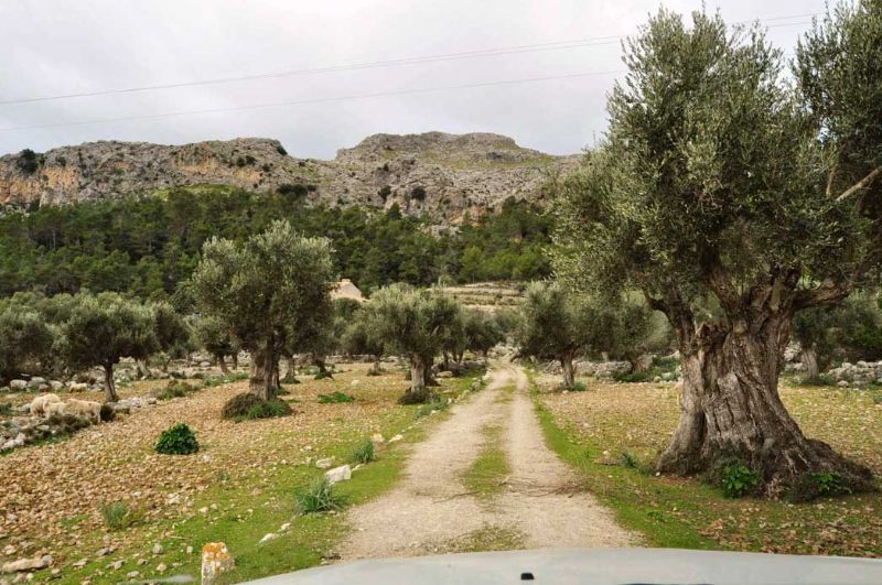 Country houses for Sale in ESCORCA, MAJORCA, Spain