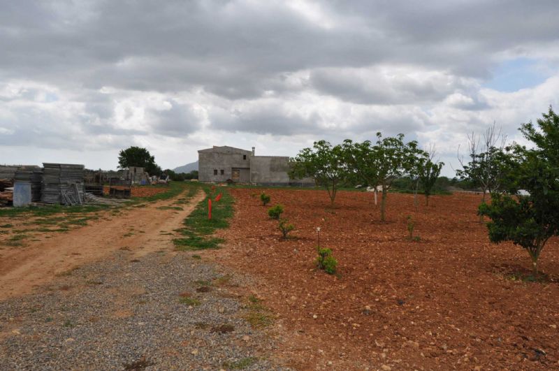 Country houses for Sale in FELANITX, MAJORCA, Spain