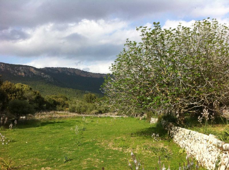 Country houses for Sale in ESPORLAS, MAJORCA, Spain