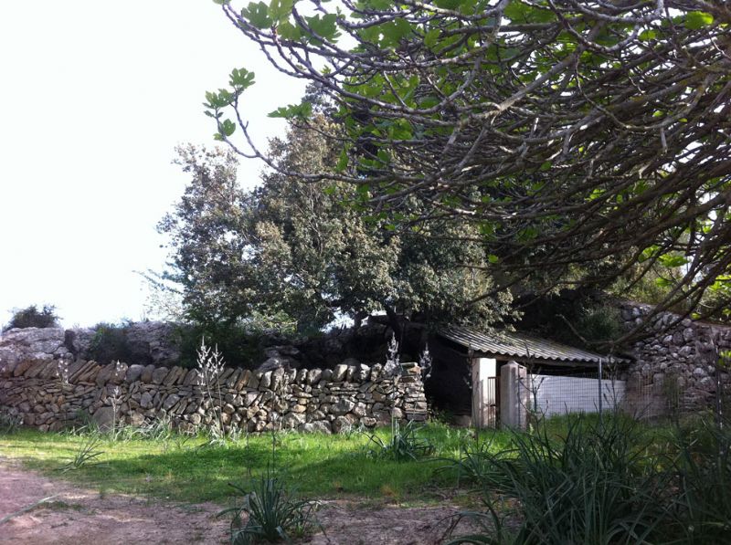 Country houses for Sale in ESPORLAS, MAJORCA, Spain