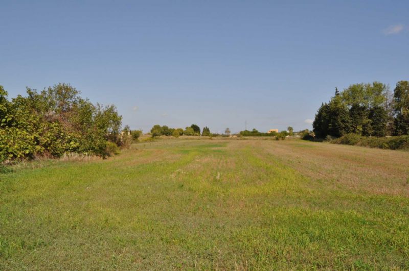 Country houses for Sale in ALCUDIA, MAJORCA, Spain