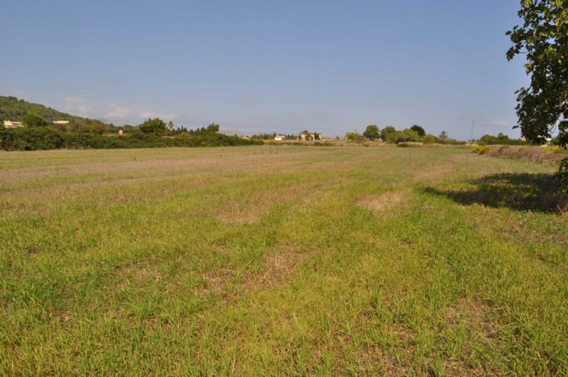 Country houses for Sale in ALCUDIA, MAJORCA, Spain