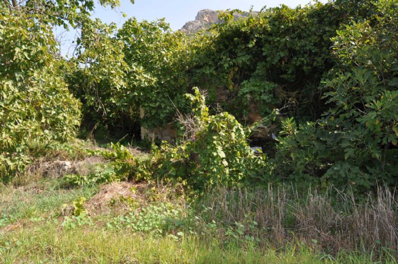 Country houses for Sale in ALCUDIA, MAJORCA, Spain