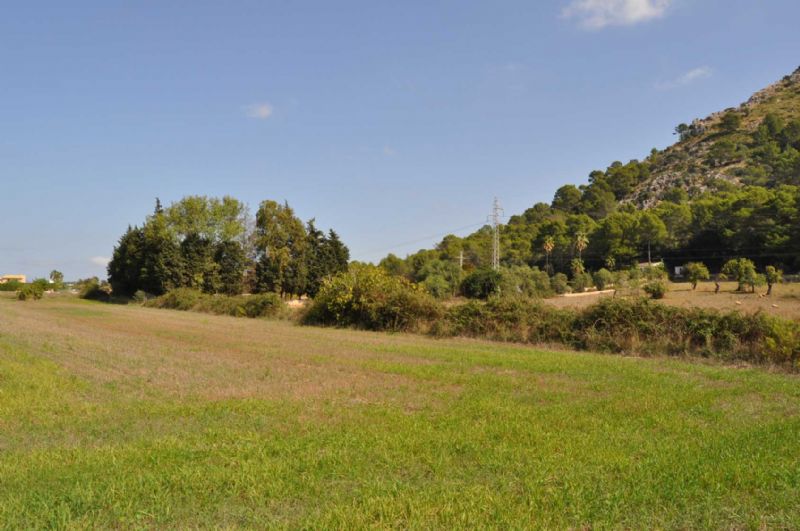 Country houses for Sale in ALCUDIA, MAJORCA, Spain