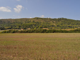 Country houses for Sale in ALCUDIA, MAJORCA, Spain