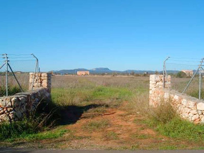 More on our Country houses for Sale in CAMPOS, MAJORCA, Balearics, Spain