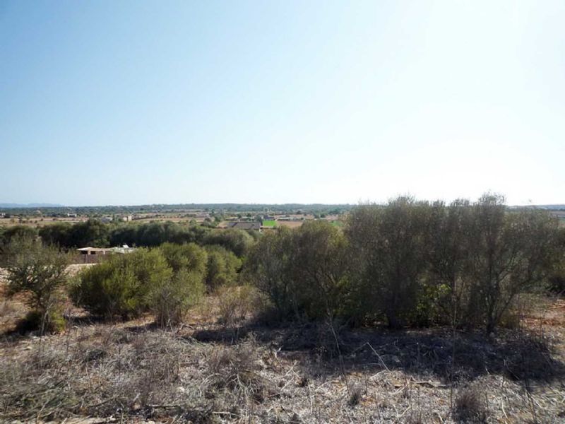 Country houses for Sale in CAMPOS, MAJORCA, Spain