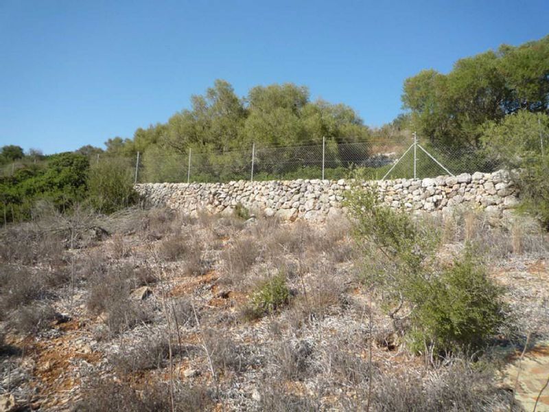 Country houses for Sale in CAMPOS, MAJORCA, Spain