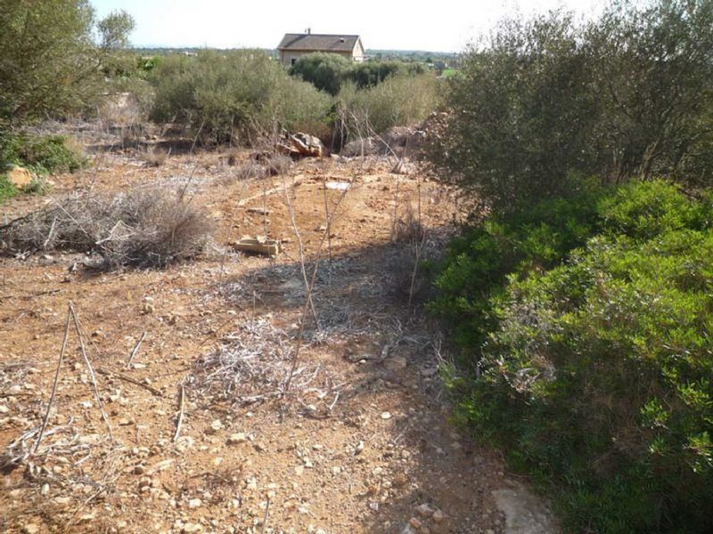 Country houses for Sale in CAMPOS, MAJORCA, Spain