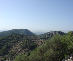 Country houses for Sale in MANCOR DE LA VALL, MAJORCA, Spain