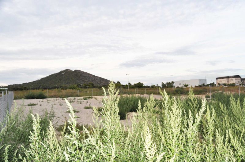 More on our Plots for Sale in PUERTO DE ALCUDIA, ALCUDIA, MAJORCA, Balearics, Spain