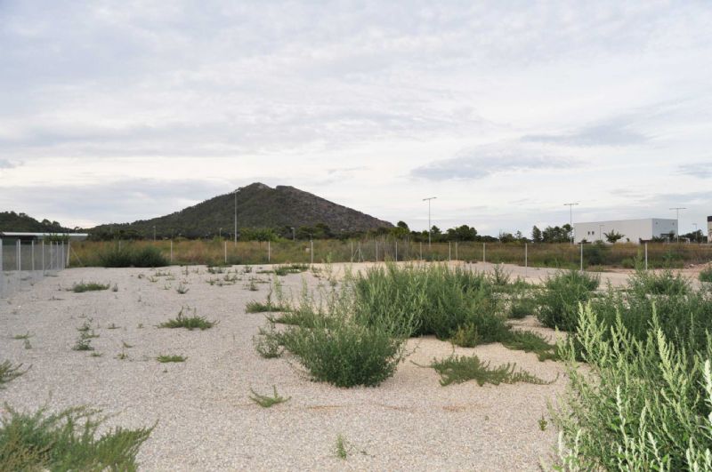 Plots for Sale in PUERTO DE ALCUDIA, ALCUDIA, MAJORCA, Spain