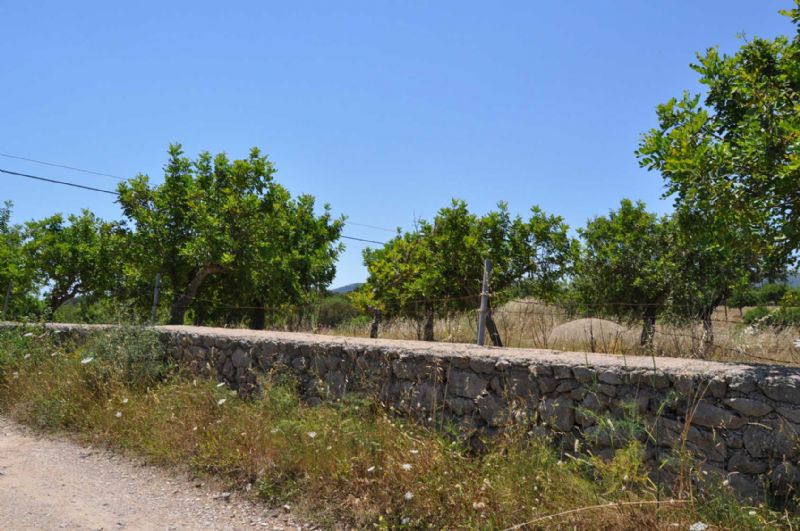 Country houses for Sale in ARTA, MAJORCA, Spain