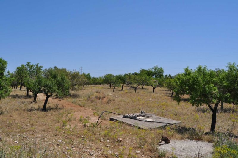 Country houses for Sale in ARTA, MAJORCA, Spain