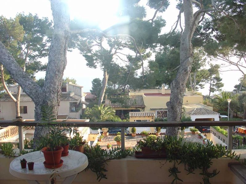 More on our Apartments/Flats for Sale in Alcanada, ALCUDIA, MAJORCA, Balearics, Spain