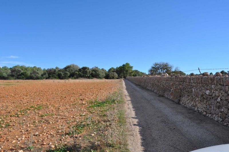 Country houses for Sale in PETRA, MAJORCA, Spain