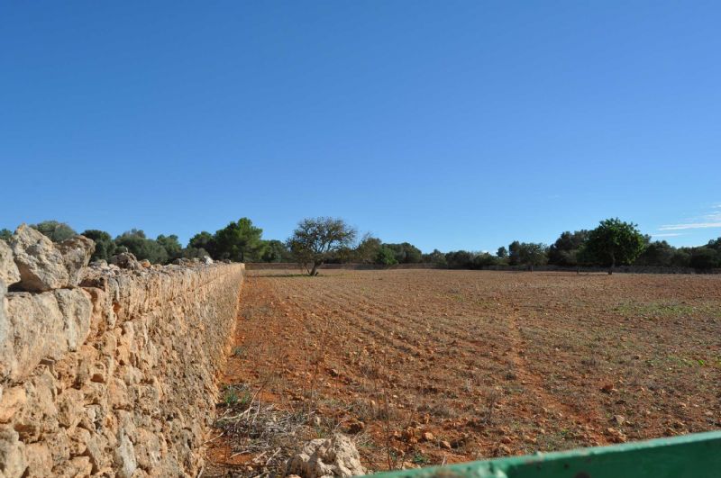 Country houses for Sale in PETRA, MAJORCA, Spain