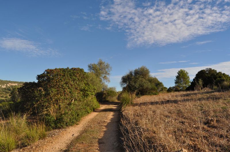 Country houses for Sale in MANACOR, MAJORCA, Spain